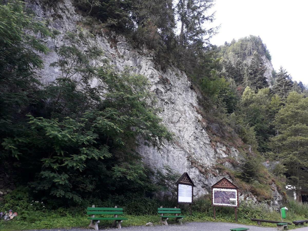 Chata Holica Pieniny Lesnica Exterior foto
